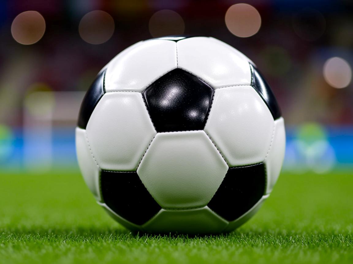 九游娱乐官方平台-“SHO-CHAN Run 2025：跑者狂热，香港再掀赛事高潮”