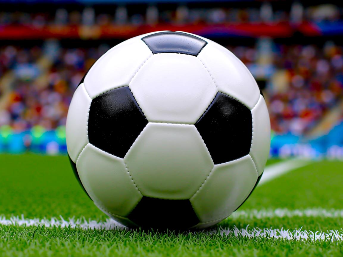 九游官网入口活动-世界杯预选赛中国女足战胜 球员配合默契，女足世界杯预选赛中国队  第2张