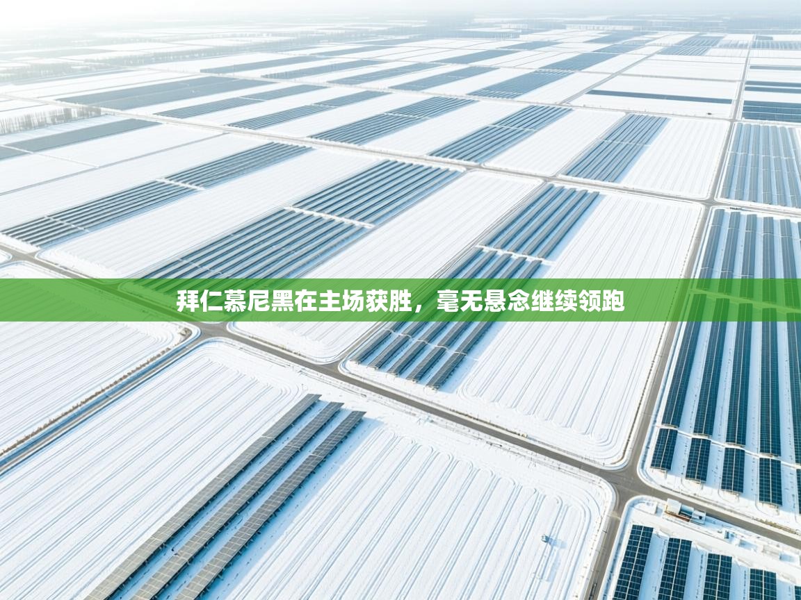 拜仁慕尼黑在主场获胜，毫无悬念继续领跑